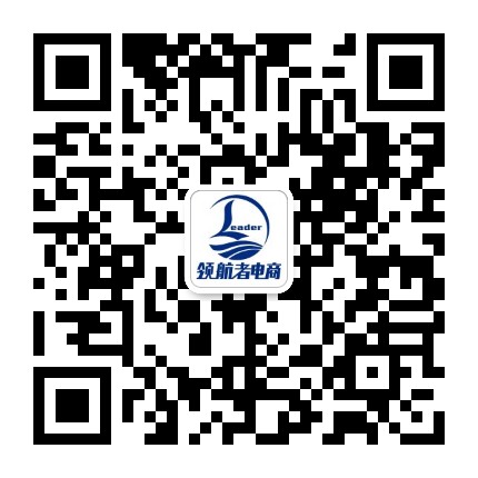 廣州領(lǐng)航者信息科技有限公司